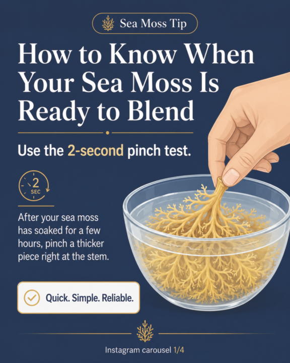 Is Your Sea Moss Hydrated?