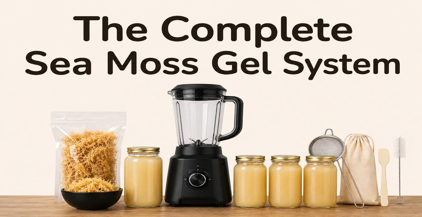 Sea Moss System for Cafés and Juice Bars