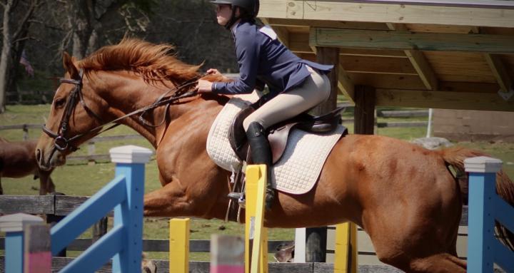 Horse Care & Riding Skills