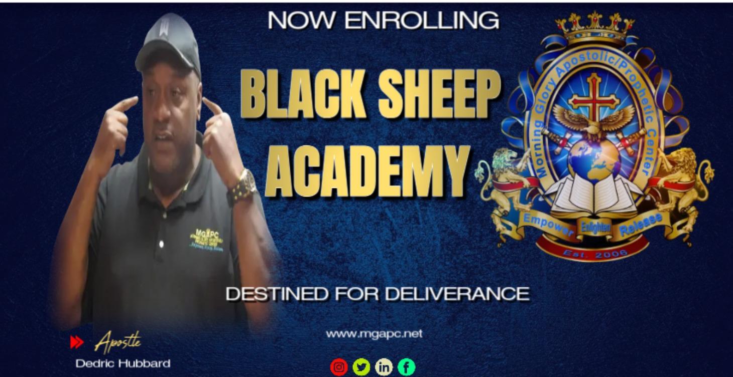 Black Sheep Academy