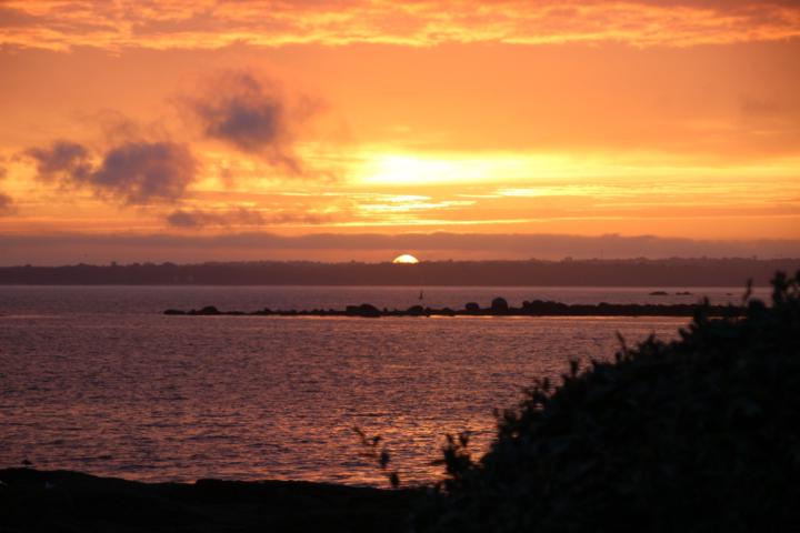 Prunelle Dautheville