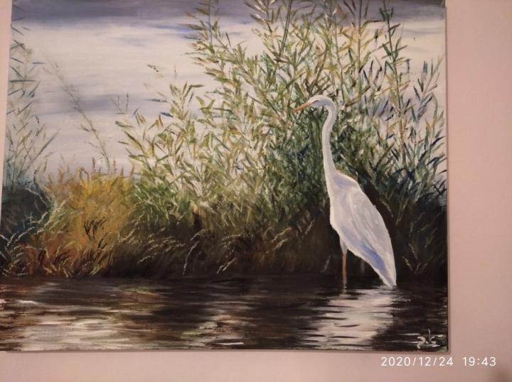 אסתר בן שושן