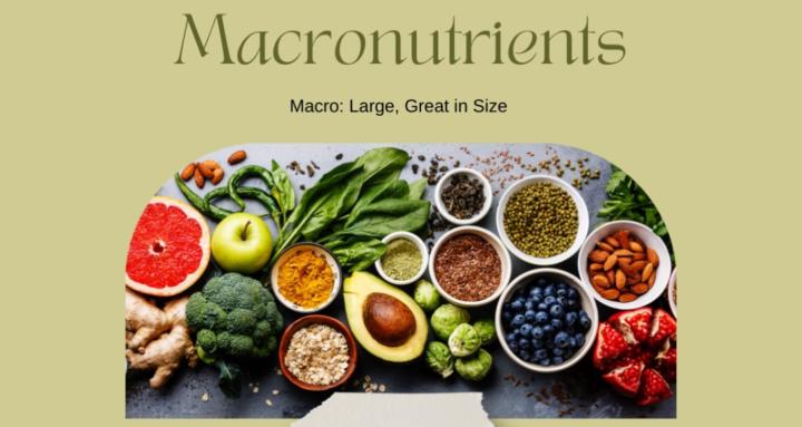 Wholesome Lifestyle Series