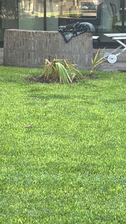 José Ignacio Albergo