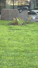 José Ignacio Albergo