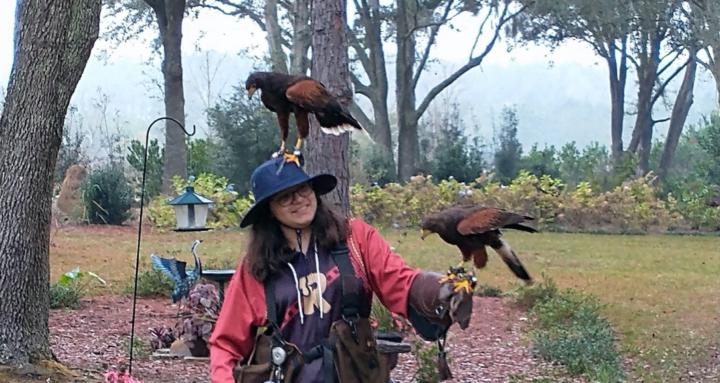 International Falconry Academy