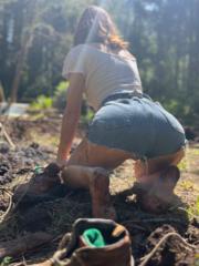Amelia Ground