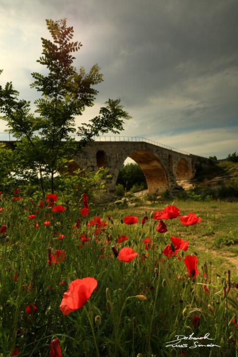 Déborah Luis Siméon