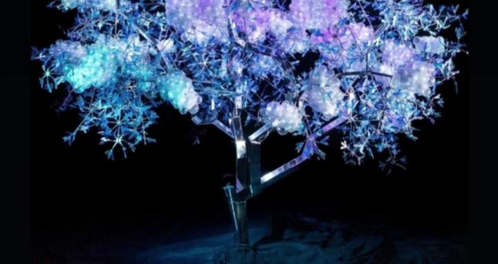 Burnies welding school