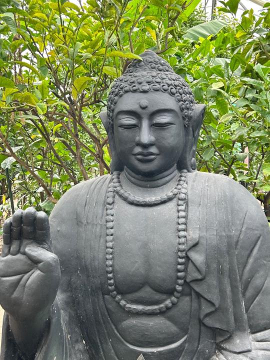 Barbara Fröhlingsdorf