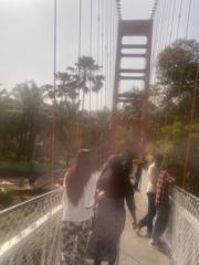 Nandika Arakkal