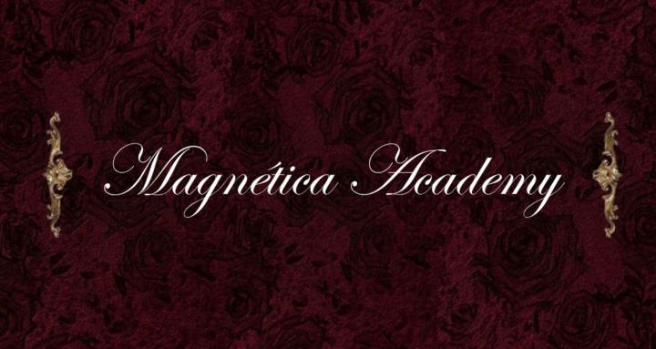 Magnética Academy