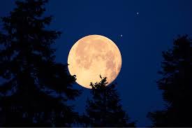 Tonight's Blue Moon Meditation!
