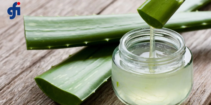 Searching for Aloe Vera Gel