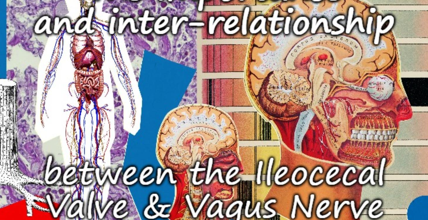 Ileocecal valve & Vagus Nerve CPD