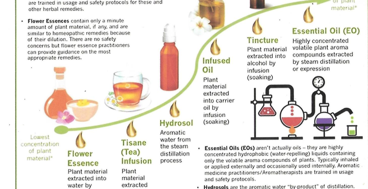 #4 of 6 classes Essential Oils Home First Aid kit