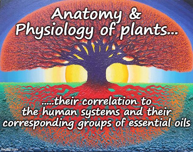 Anatomy & Physiology of Plants