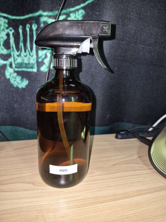 A Little Sanitizing Spray Tip