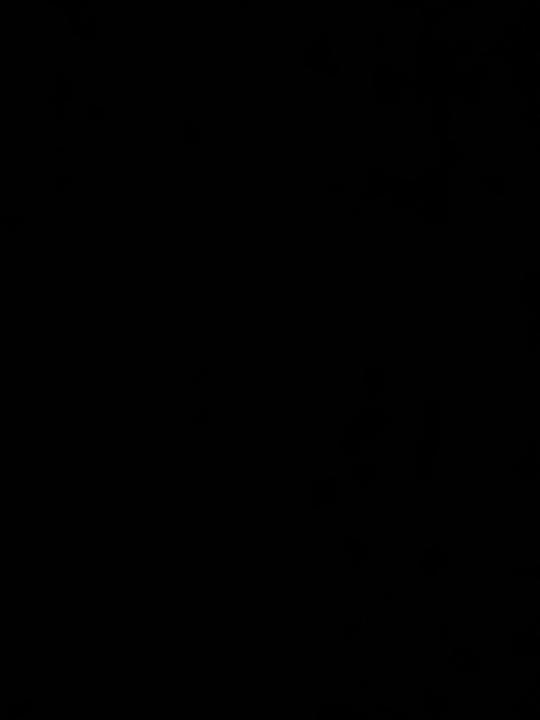 Ruben de Ceuninck van Capelle