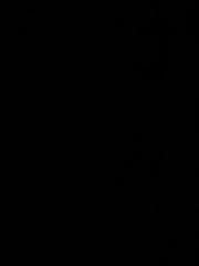 Ruben de Ceuninck van Capelle