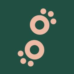 Solène Vr