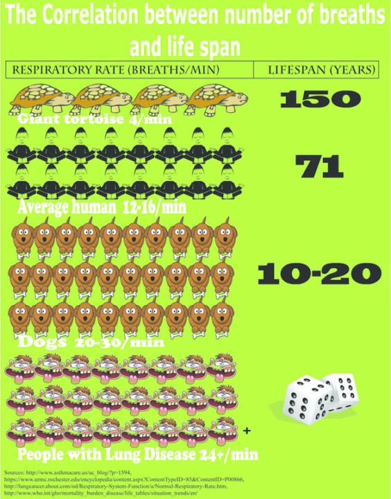 The correlation between number of breaths and lifespan