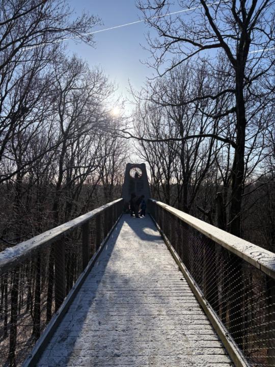 Michael Flammersberger