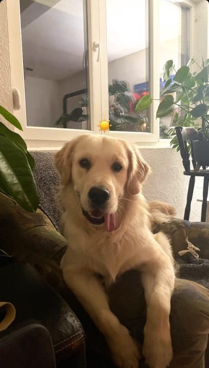 Aleksandar Lepidovski