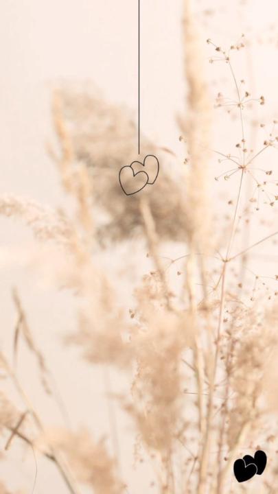 Hanin Timani Kamaleddine