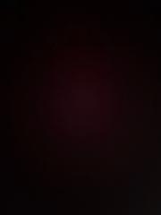 Tom Charron Danichert