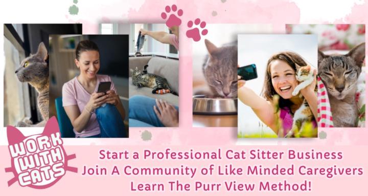 Work With Cats - Coaching