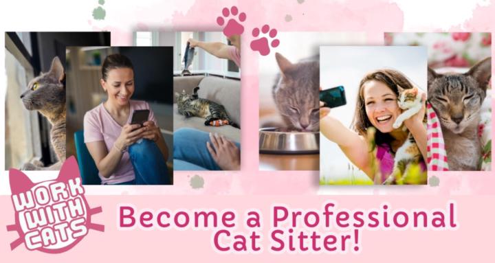 Work With Cats -by Purr View 