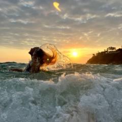 Sophia Alexandra Ahlblad