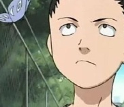 João Pedro Gershenson Costa