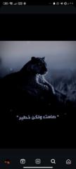 الخطاب الصارمي