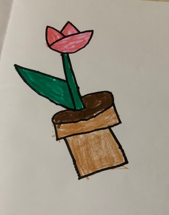 Antoinette Queen-Bourrouws