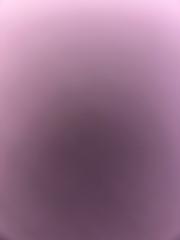 Araiyah Brandford-Richards