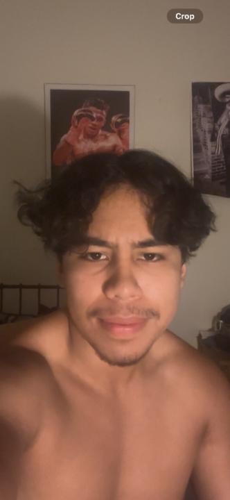 Malachi Alvarado