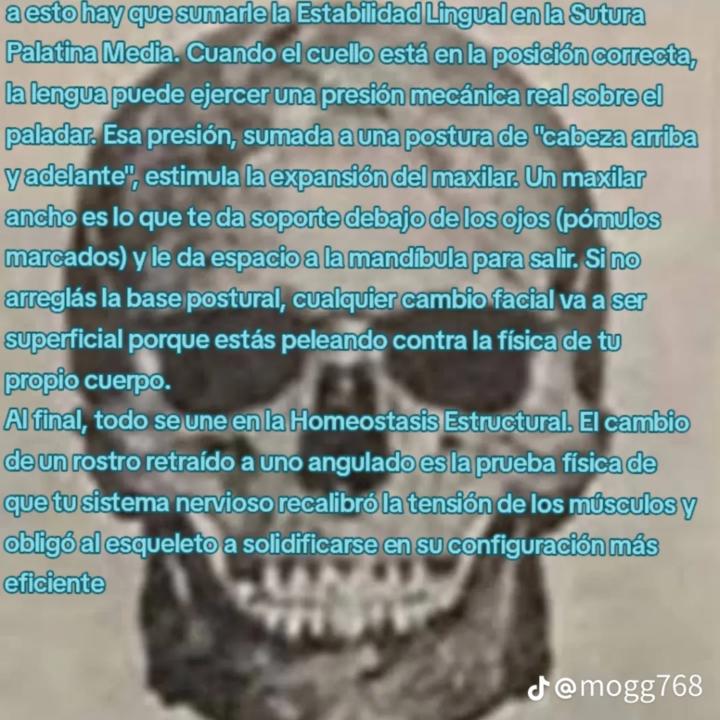 Elvaquincho Francisco