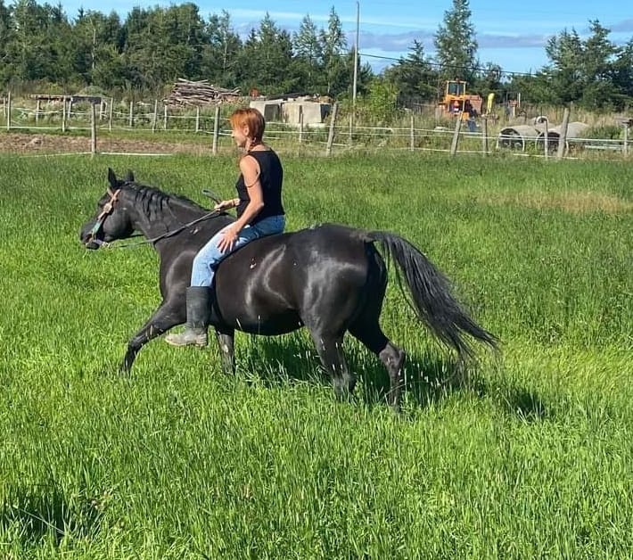 Marie-Claude Normand