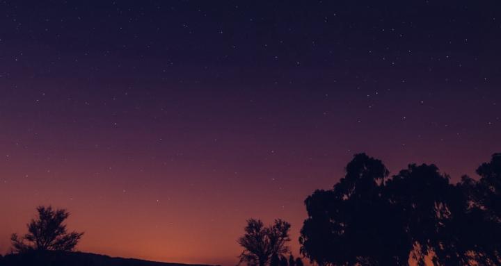 Sacred Healing Evolution