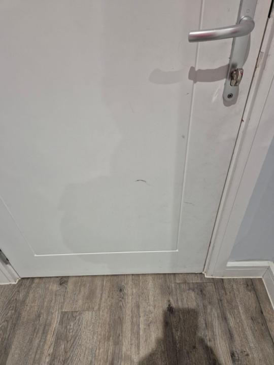 We got another Karen at our property 🤦🏻‍♂️