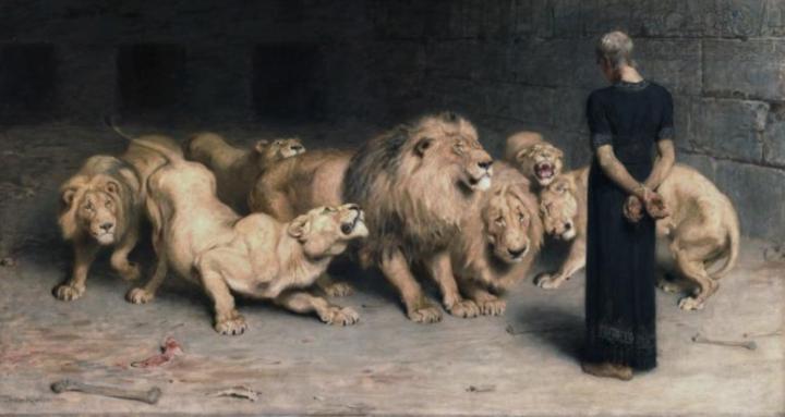 👑 The Lion's Den