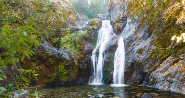 The Sacred Beauty METHOD