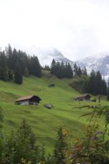 Swiss Spotz