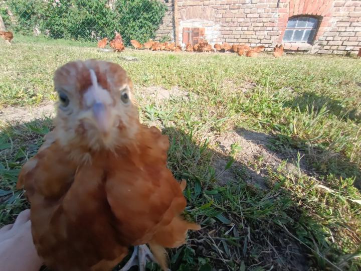 Aleksandra Aleksandra