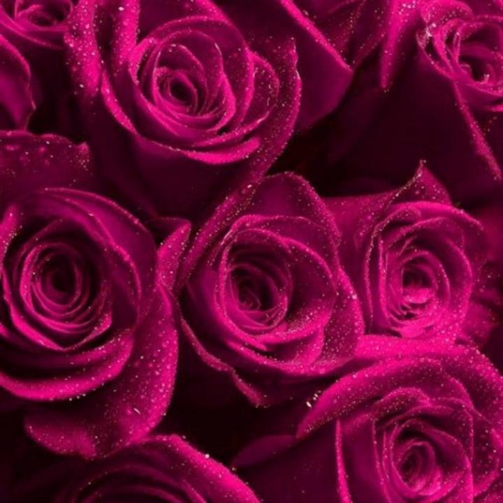I Shehreen