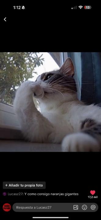 Agustin Hernandez Guedes