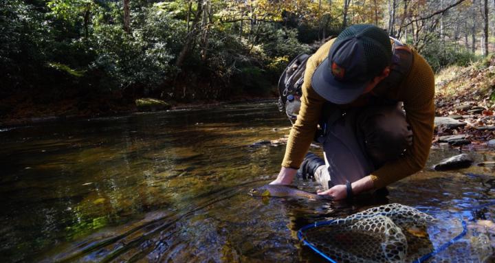 Mastering Southeastern Trout