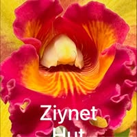 Ziynet Hut